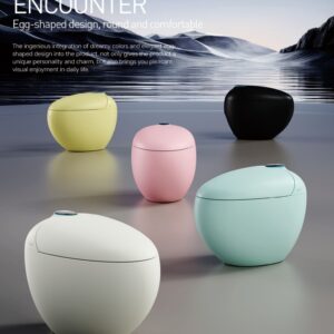 964 Intelligent Toilet