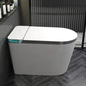 SmartSense 963E CE Intelligent Toilet