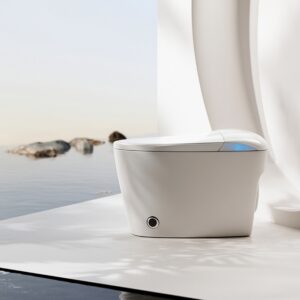 E5E Intelligent Toilet